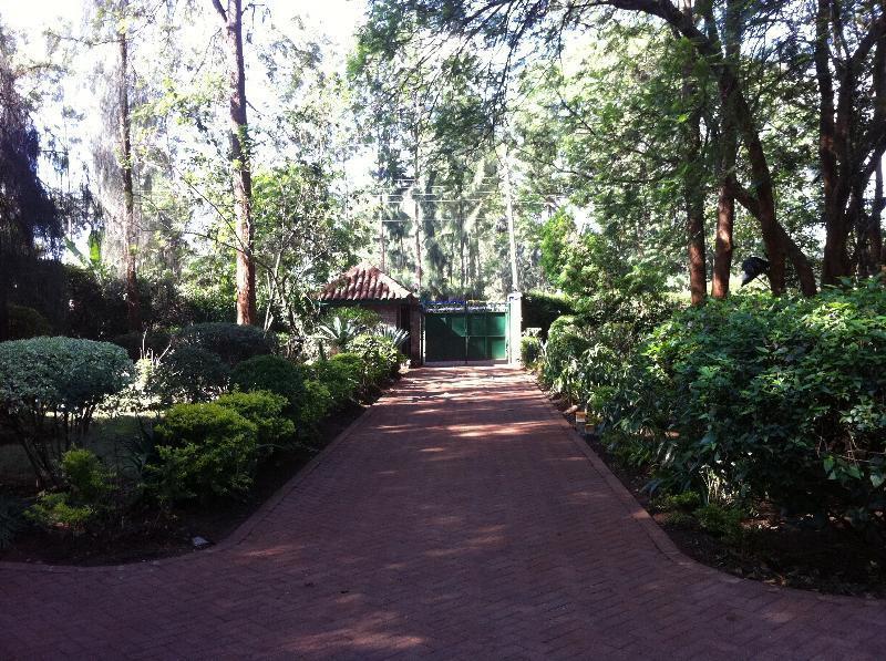 Hostel Milimani Backpackers Nairobi Exterior foto