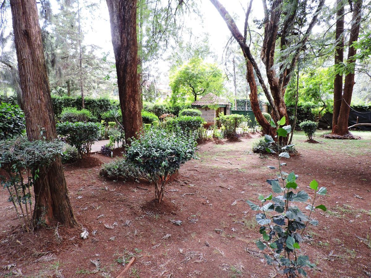 Hostel Milimani Backpackers Nairobi Exterior foto