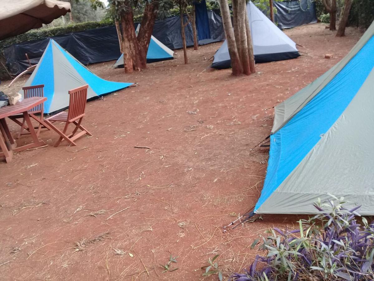 Hostel Milimani Backpackers Nairobi Exterior foto